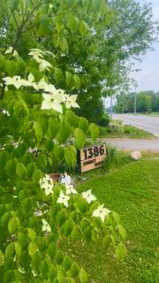 Sunset Suites in Niagara Wine Country - Niagara on the Lake - 9