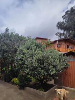 Hostal Normandie - 3