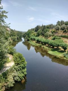 Refúgio do Alcídio - Vila Cova de Alva - 9