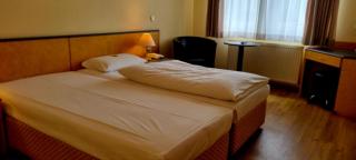 Hotel Waghäuseler Hof GmbH - Waghäusel - 8