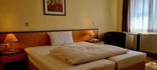 Hotel Waghäuseler Hof GmbH - Waghäusel - 9