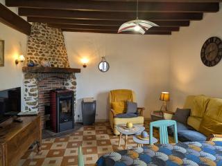 Gîte indépendant avec terrasse et accès direct au lac - FR-1-590-223 - Dampierre-en-Burly - 3