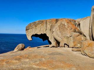 Apartments on Centenary - 5