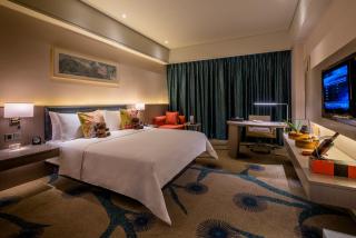 Chongqing Baolong Art Hotel - Hechuan - 3