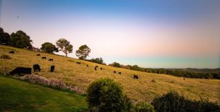 Alstonville Country Cottages - Alstonville - 4