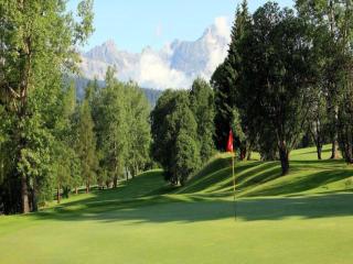 Chalet in Megève with Mont-Blanc Views - Praz-sur-Arly - 1