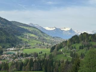 Stylish chalet in charming Megève - Praz-sur-Arly - 1