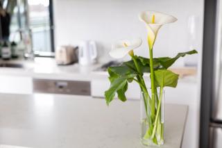 Wellness Penthouse Modern Retreat - Melbourne - 2