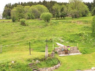 Gîte familial à la montagne avec jardin, terrasse et Wi-Fi - FR-1-489-332 - Lavoine - 4