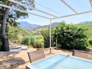 Maison F2 indépendante avec terrasse, climatisation et WIFI à Banyuls-sur-Mer - FR-1-309-262 - Banyuls-sur-Mer - 8