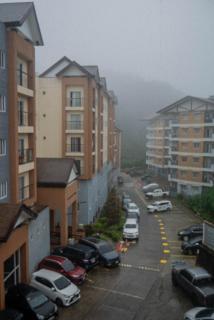 Blankets and Pines - Baguio - 8