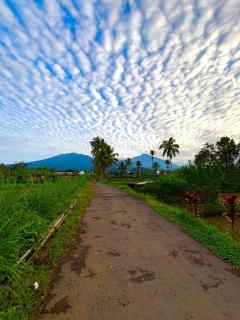 Raturinjani homestay - Selong - 7