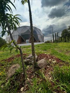 Glamping Aldea Hualtepec Cactus - Huichapan - 4