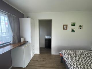 Separate bathroom sleepout - Te Miro - 6