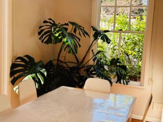 Unique and Cosy Cottage with a Sunny Garden - Wellington - 2