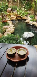 Moon Garden - Homestay Đường Lâm, Hà Nội - Sơn Tây - 8