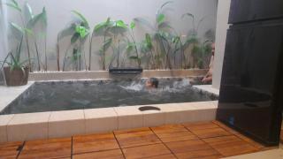 Fatimah Pancar View - 6