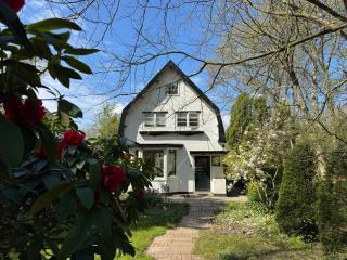 Whispering Woods - 8