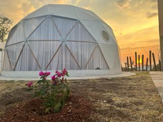Glamping Aldea Hualtepec Cactus - Huichapan - 0