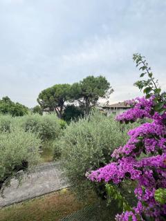 Villa Biancaluna - San Felice del Benaco - 8