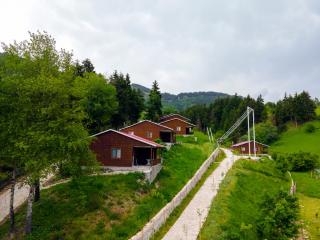 Danzot Tatil Köyü ve Restoran - Artvin - 5