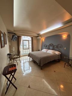 Hotel Plaza Ejecutivo - Tepatitlán de Morelos - 0