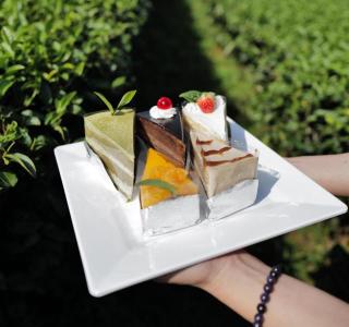 101 Tea Green View - Mae Salong - 2