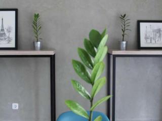 Casa Living Setiabudi Jakarta - 2