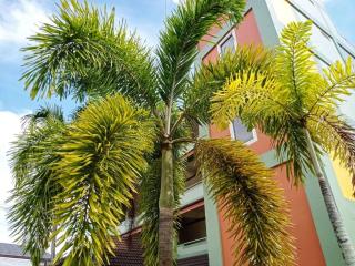 22 Seasons Hotel - Strand Ao Nang - 1