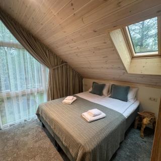 Tago Forest - Dune Apartments - Jūrmalciems - 3
