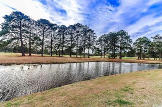 Beautiful 1500 s f 3 Bd - 2 Ba condo overlooking stream and golf course - Myrtle Beach - 8
