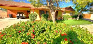 Sunny Scottsdale House & Heated Pool! So Relaxing! - Scottsdale - 7