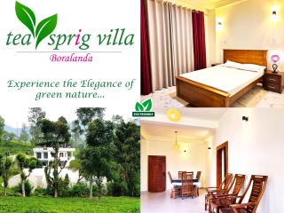 Tea sprig villa - Boralanda - 8