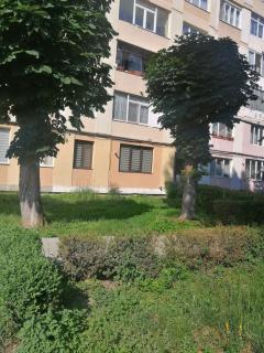 ADY & MARCY - Parcului - Onești - 4