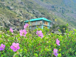 LAP Stays - Wanderer's Nest - Chitkul - 3