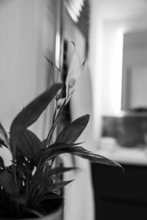 Elegant 2BR Penthouse Exmouth - Exmouth - 6