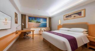 Vienna Hotel Guangdong Foshan Wenhua North Road - 9