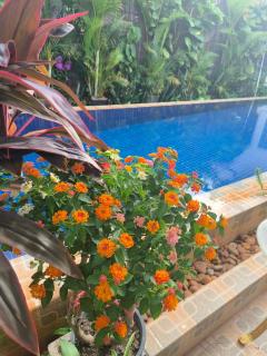 Namo Angkor Suite - Siem Reap - 8