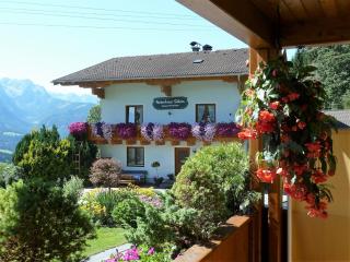 Haus Silvia - Werfenweng - 4