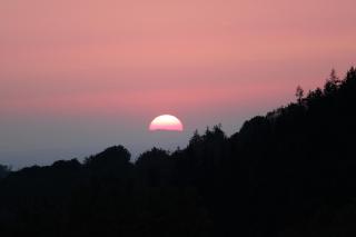 Hotel Merkurwald - Restaurant Wolpertinger - 1