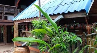 RuenNamyen Resort Amphawa - Samut Songkhram - 7
