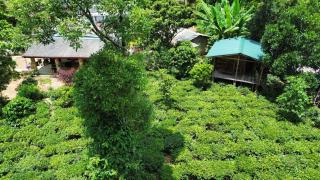 Nalinda's Homestay - - 6