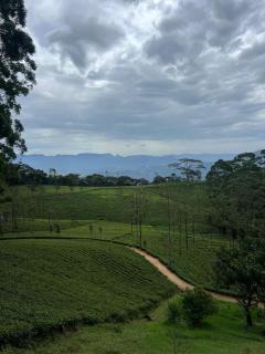 Nalinda's Homestay - - 7