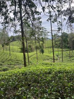 Nalinda's Homestay - - 0