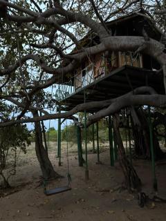 Bird Sanctuary Nature Park Army Welfare Resort and Tree House - 2