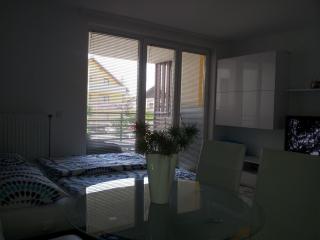 Apartment Kanita - Moravske Toplice - 1