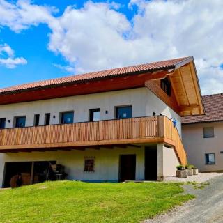 Burgbichl Apartments - Rothenthurn - 0