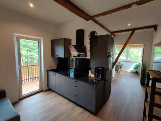 Burgbichl Apartments - Rothenthurn - 7
