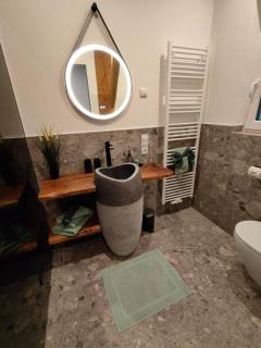 Burgbichl Apartments - Rothenthurn - 4