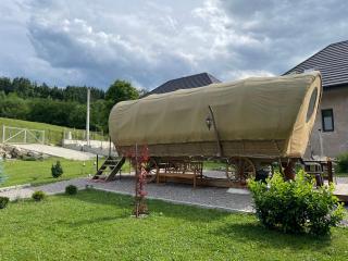 White Spring Glamping - Câmpulung Moldovenesc - 9